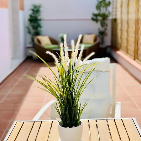 Flores - Atico Duplex Con Terraza - Probeyma - Apartment